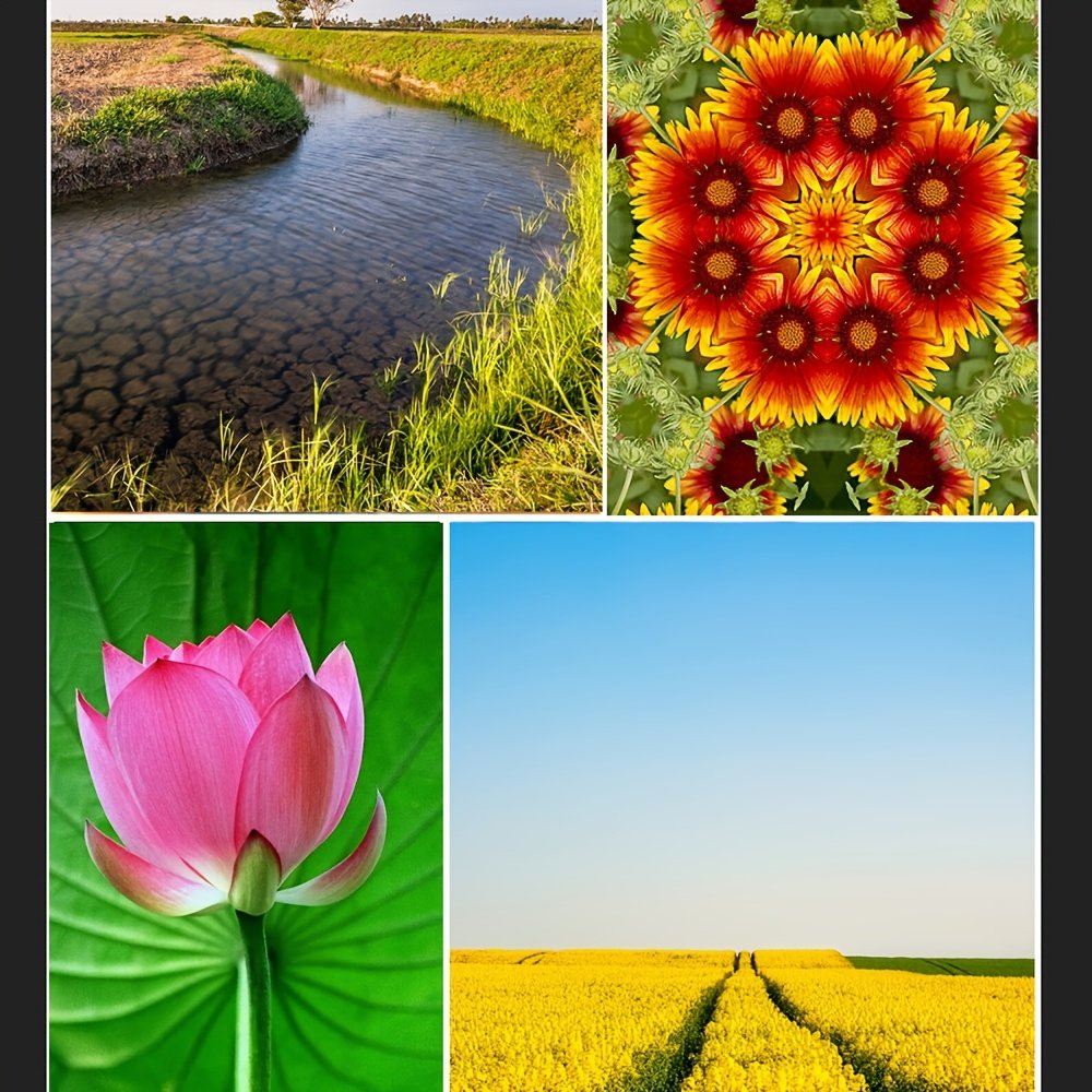 Kit d'Objectifs pour Téléphone APEXEL 10 en 1 - Objectif Télescopique 22X, Objectif Œil de Poisson 198°, Objectif Grand Angle et Objectif Macro (Vissés Ensemble), Kit de Photographie pour iPhone 16/15/14/13 Pro Max, Samsung et la Plupart des Smartphones