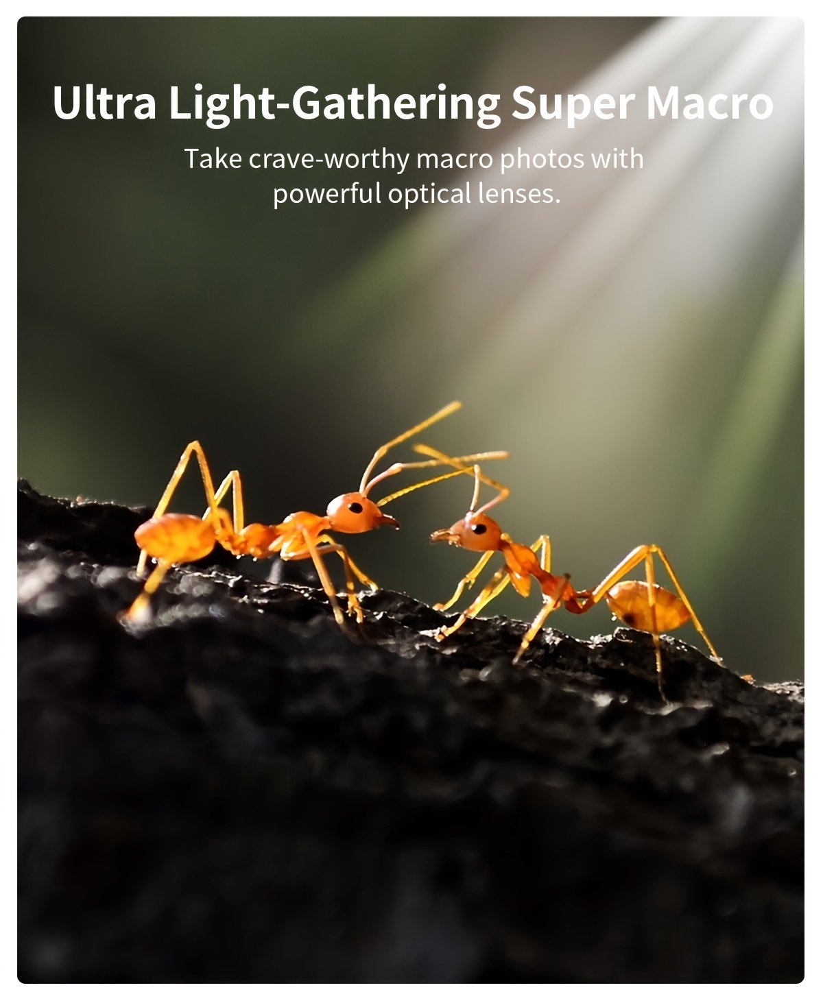 Objectif Macro DSLR Zoom 2en1 APEXEL, Grande Ouverture F1.05, Équipé d'un Filtre CPL de 37mm, Clip Extensible Universel Léger de 88g pour iPhone, Samsung, Huawei, Xiaomi et la Plupart des Smartphones